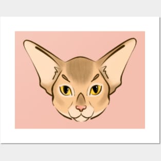 Baby abyssinian Posters and Art